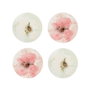 Hermia Lenta Toi 4 TT 15 Set de 4 Platos de Postre Multicolor de Porcelana